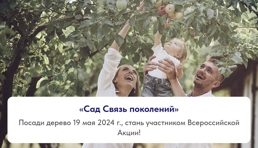 В этом году традиционно проводится Всероссийская ежегодная акция «Сад связь поколений»